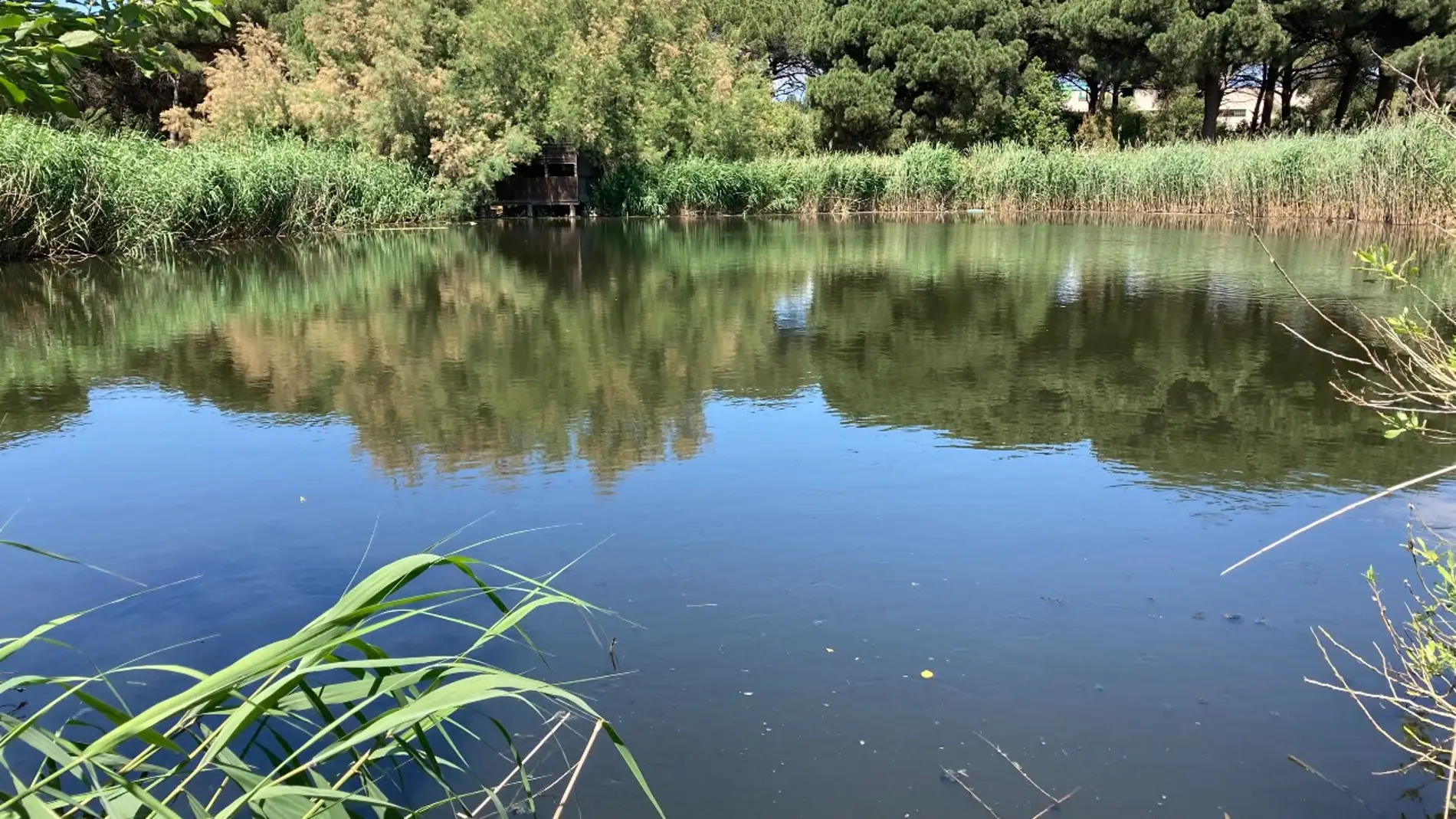 El humedal en el que se ha hecho este estudio El humedal en el que se ha hecho este estudio