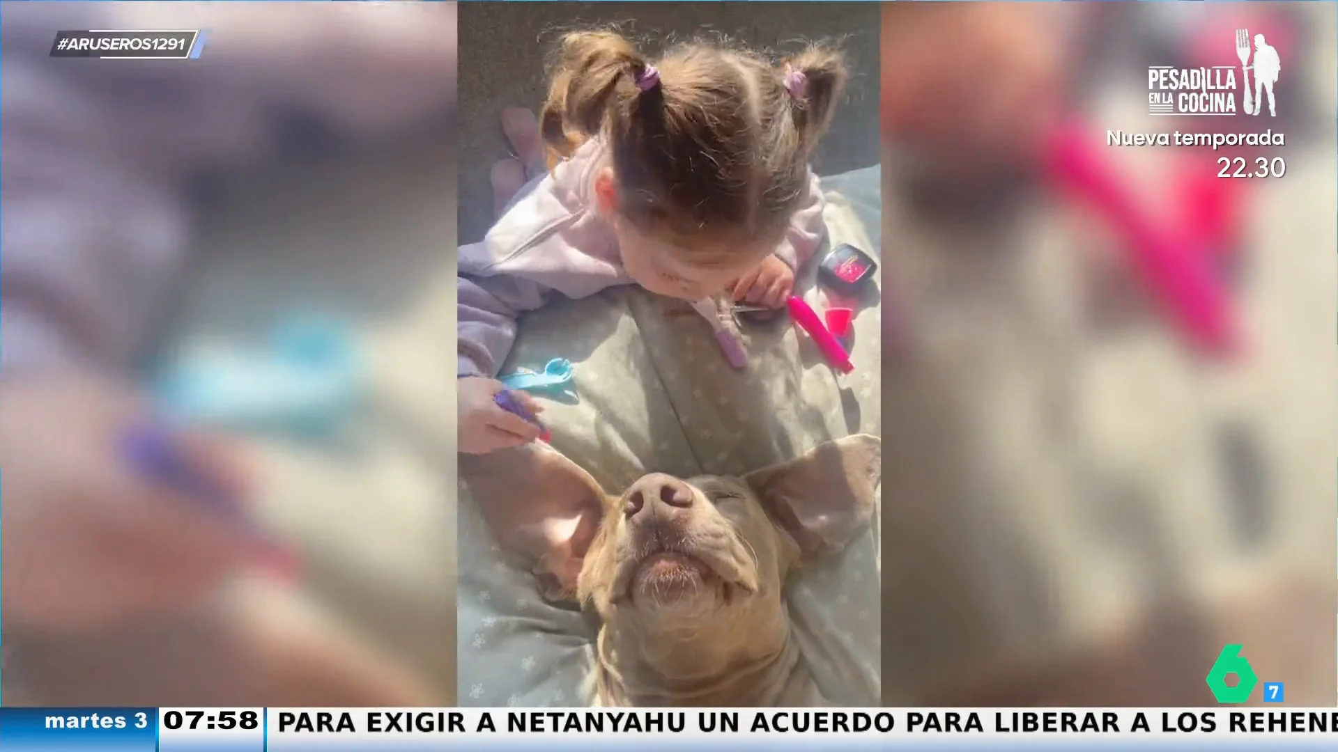 El tierno vídeo viral de una niña maquillando a su perro: "Santa paciencia la del perro"