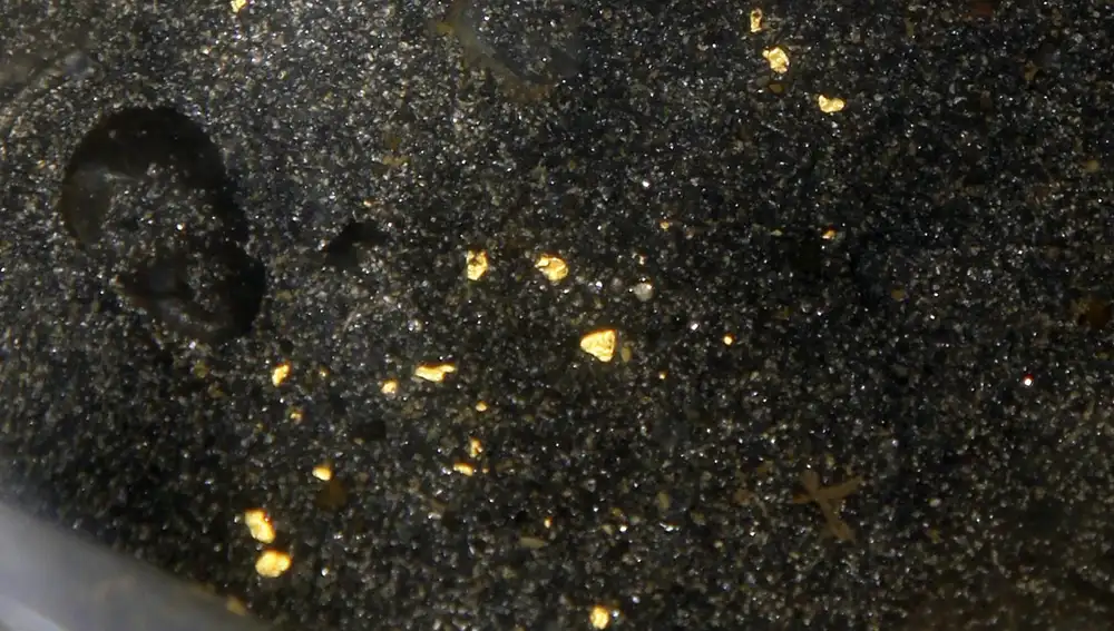 Pepitas de oro Pepitas de oro