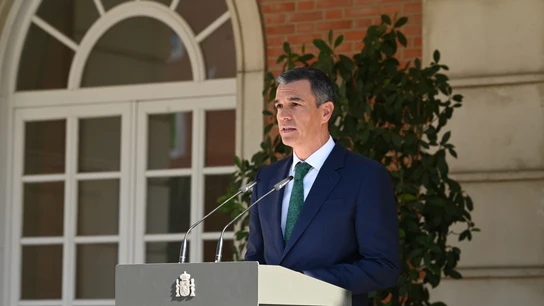 El presidente del Gobierno, Pedro Sánchez, comparece desde el Palacio de la Moncloa El presidente del Gobierno, Pedro Sánchez, comparece desde el Palacio de la Moncloa