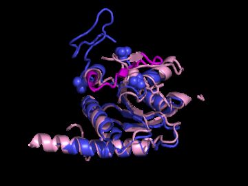 La inteligencia artificial ayuda a descifrar la funcion de proteinas desconocidas