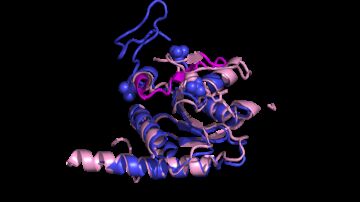 La inteligencia artificial ayuda a descifrar la funcion de proteinas desconocidas