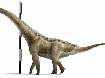 Reconstrucción del aspecto en vida de Qunkasaura pintiquiniestra Reconstrucción del aspecto en vida de Qunkasaura pintiquiniestra