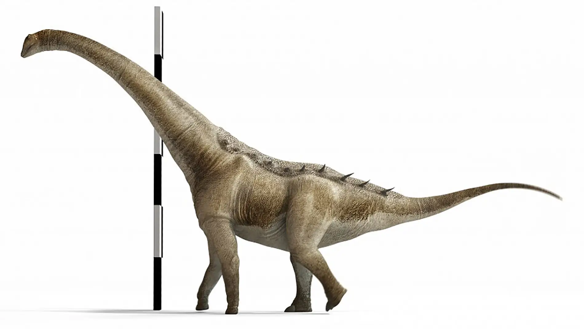 Reconstrucción del aspecto en vida de Qunkasaura pintiquiniestra Reconstrucción del aspecto en vida de Qunkasaura pintiquiniestra