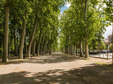 Parque La Devesa de Girona