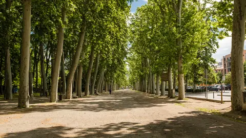 Parque La Devesa de Girona Parque La Devesa de Girona