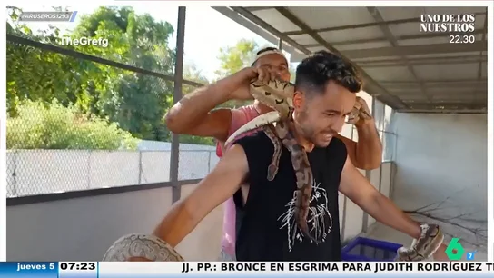 TheGrefg se enfrenta a su mayor miedo con las serpientes y tarántulas de Frank Cuesta: "Su p*** madre, estoy sudando, chaval" TheGrefg se enfrenta a su mayor miedo con las serpientes y tarántulas de Frank Cuesta: "Su p*** madre, estoy sudando, chaval"