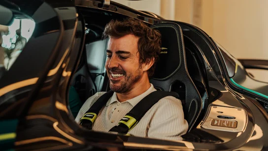 Fernando Alonso Fernando Alonso