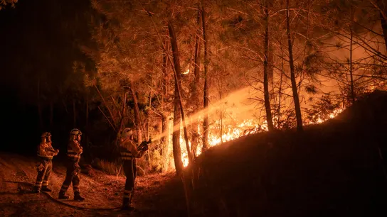 Bomberos forestales durante las labores de extinción del incendio forestal declarado en Oímbra (Ourense) durante la noche de este jueves. Bomberos forestales durante las labores de extinción del incendio forestal declarado en Oímbra (Ourense) durante la noche de este jueves.