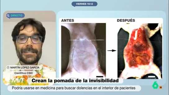 científico csic científico csic