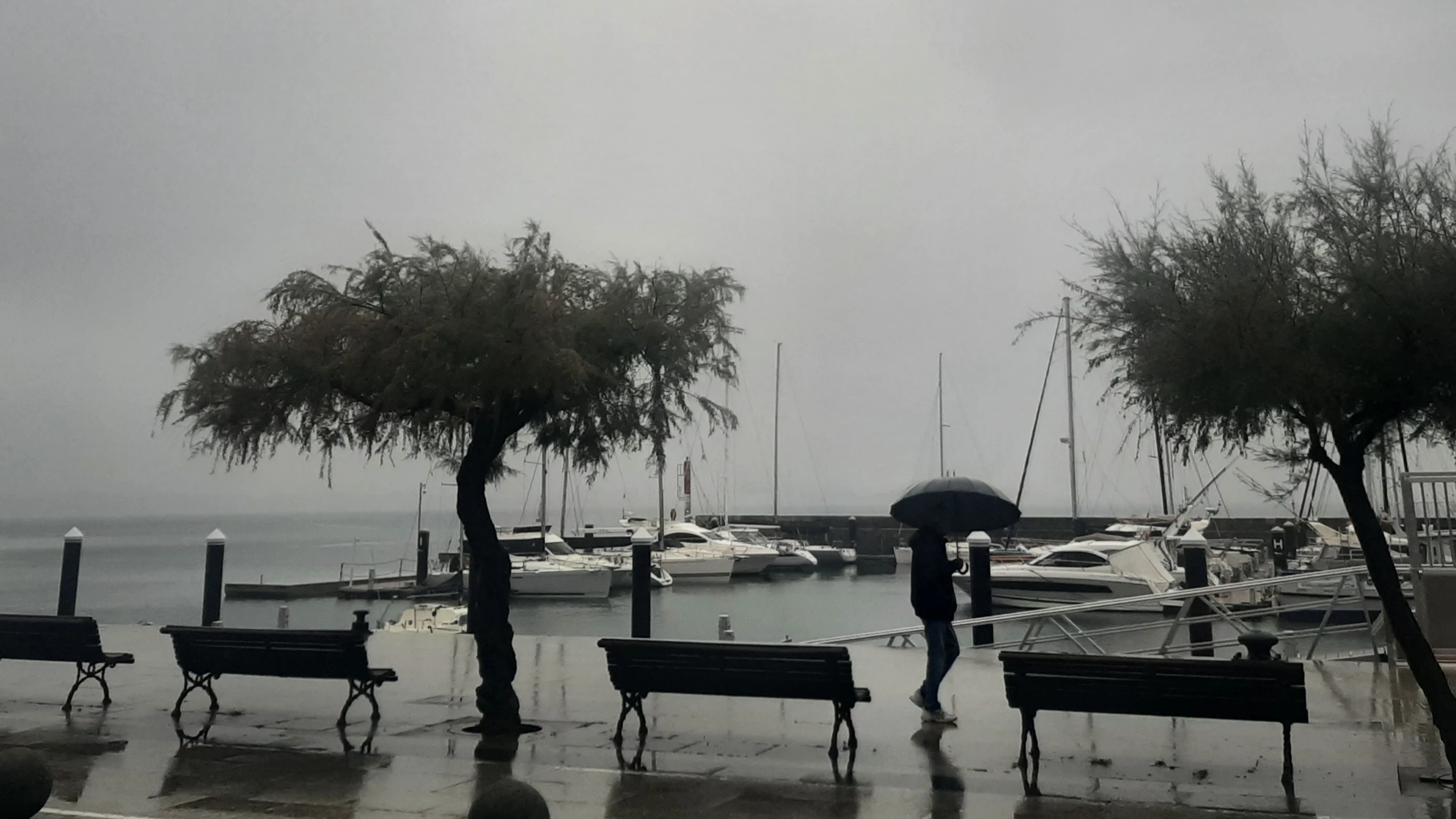 Vista de la lluvia caída ayer jueves en Santander. 