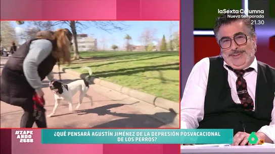 Agustín Jiménez desvela qué opina de la depresión postvacacional de los perros: "¿Cómo saben que están de vacaciones?" Los perros podrían sufrir, como los humanos, el fin de las vacaciones. Así, los canes tendrían síntomas como hastío, tristeza o cambios en su comportamiento ante la vuelta a la rutina.