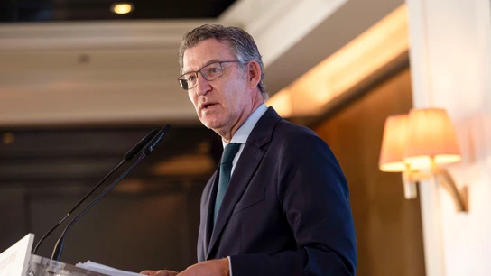 El presidente del PP, Alberto Núñez Feijóo El presidente del PP, Alberto Núñez Feijóo