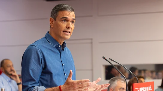 El líder socialista y presidente del Gobierno, Pedro Sánchez, durante el Comité Federal del PSOE El líder socialista y presidente del Gobierno, Pedro Sánchez, durante el Comité Federal del PSOE