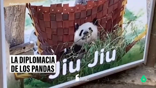 España, el "mejor amigo en Europa" de China: de los osos pandas que regaló a Juan Carlos I a las visitas de Zapatero España, el "mejor amigo en Europa" de China: de los osos pandas que regaló a Juan Carlos I a las visitas de Zapatero