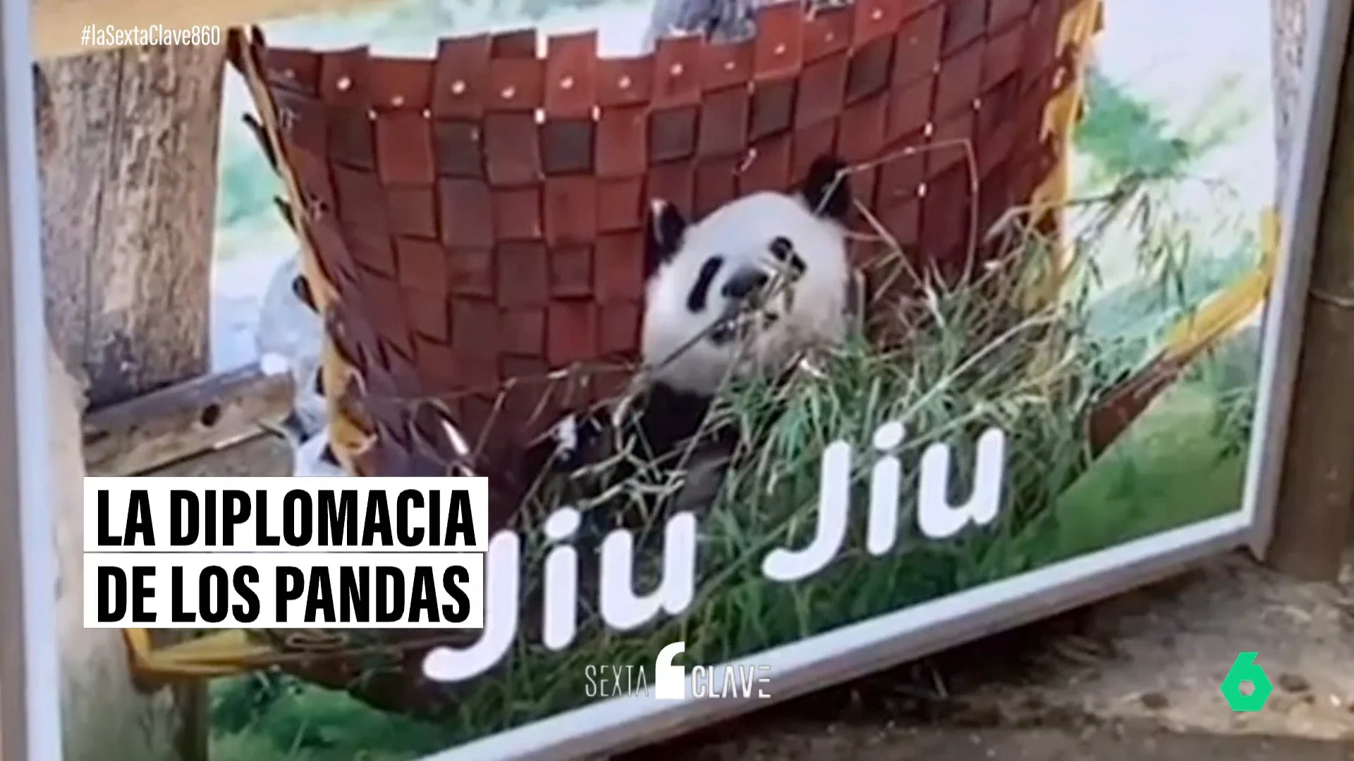 España, el "mejor amigo en Europa" de China: de los osos pandas que regaló a Juan Carlos I a las visitas de Zapatero