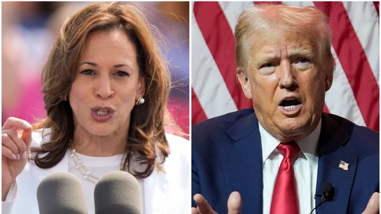 Kamala Harris y Donald Trump, candidatos a la Casa Blanca Kamala Harris y Donald Trump, candidatos a la Casa Blanca