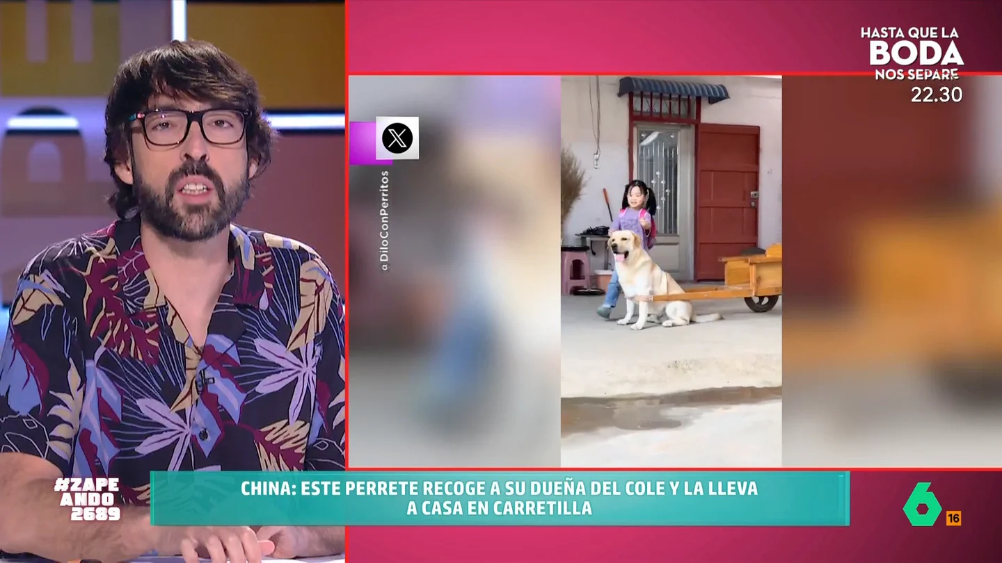 Quique Peinado, al descubrir que una familia manda a su perro a recoger a la hija del colegio: "¿Qué hace mañana?" Quique Peinado, al descubrir que una familia manda a su perro a recoger a la hija del colegio: "¿Qué hace mañana?"