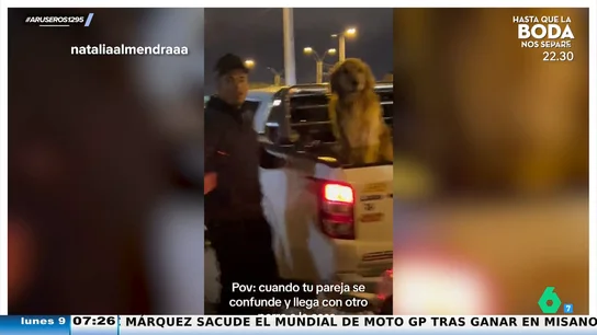 Vuelve a casa con otro perro idéntico después de que el suyo se escapara: "¿Se ha equivocado o ha pegado el cambiazo de los hámsters?" Vuelve a casa con otro perro idéntico después de que el suyo se escapara: "¿Se ha equivocado o ha pegado el cambiazo de los hámsters?"