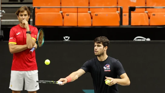 David Ferrer y Carlos Alcaraz David Ferrer y Carlos Alcaraz