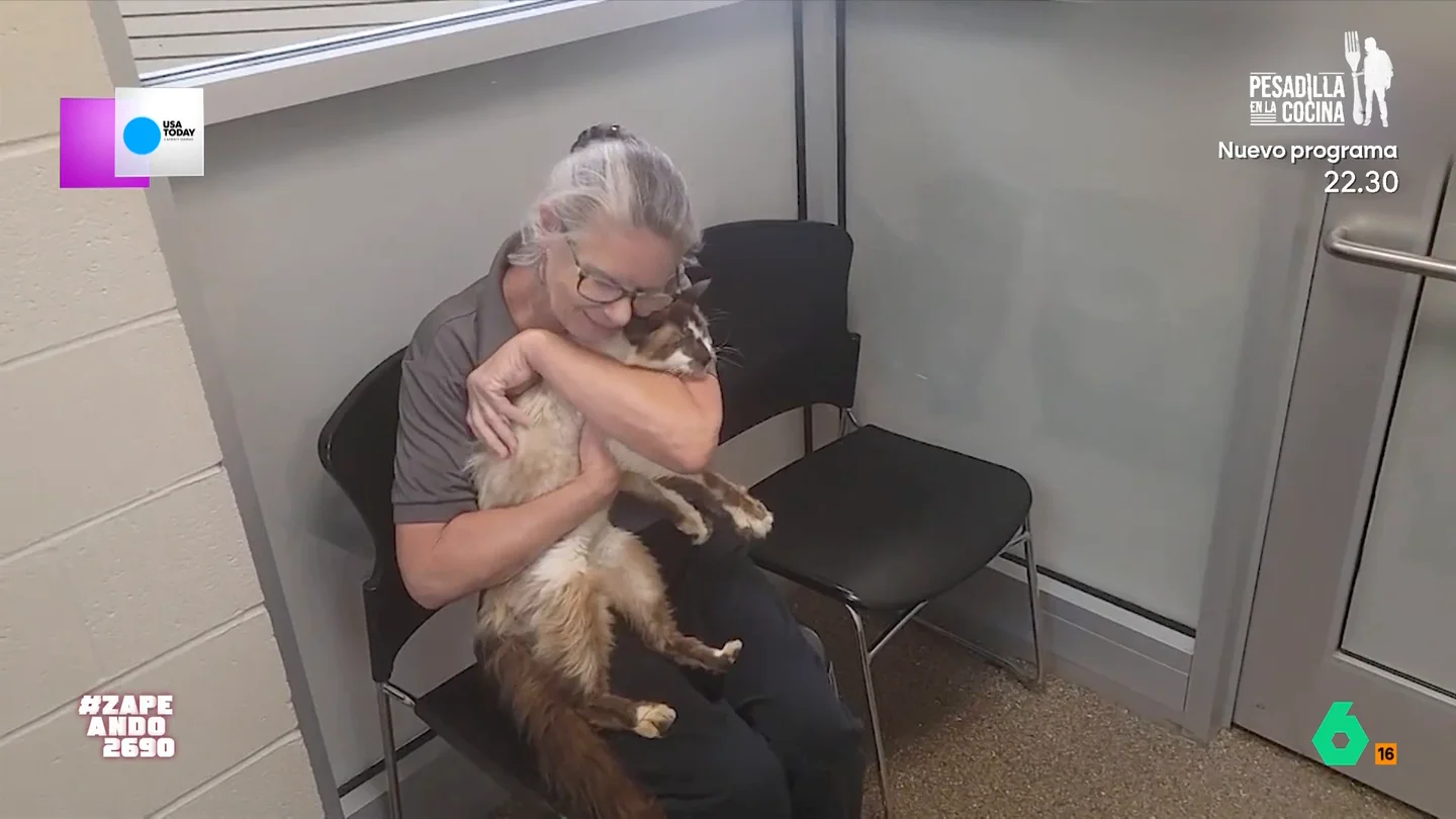 Una señora recupera a su gato perdido once años después: "Es como meter a Froilán en una oficina, es un alma libre" Una asociación de animales recogió al animal mientras deambulaba por la calle y gracias a que este llevaba chip pudieron reunirlo con su dueña.