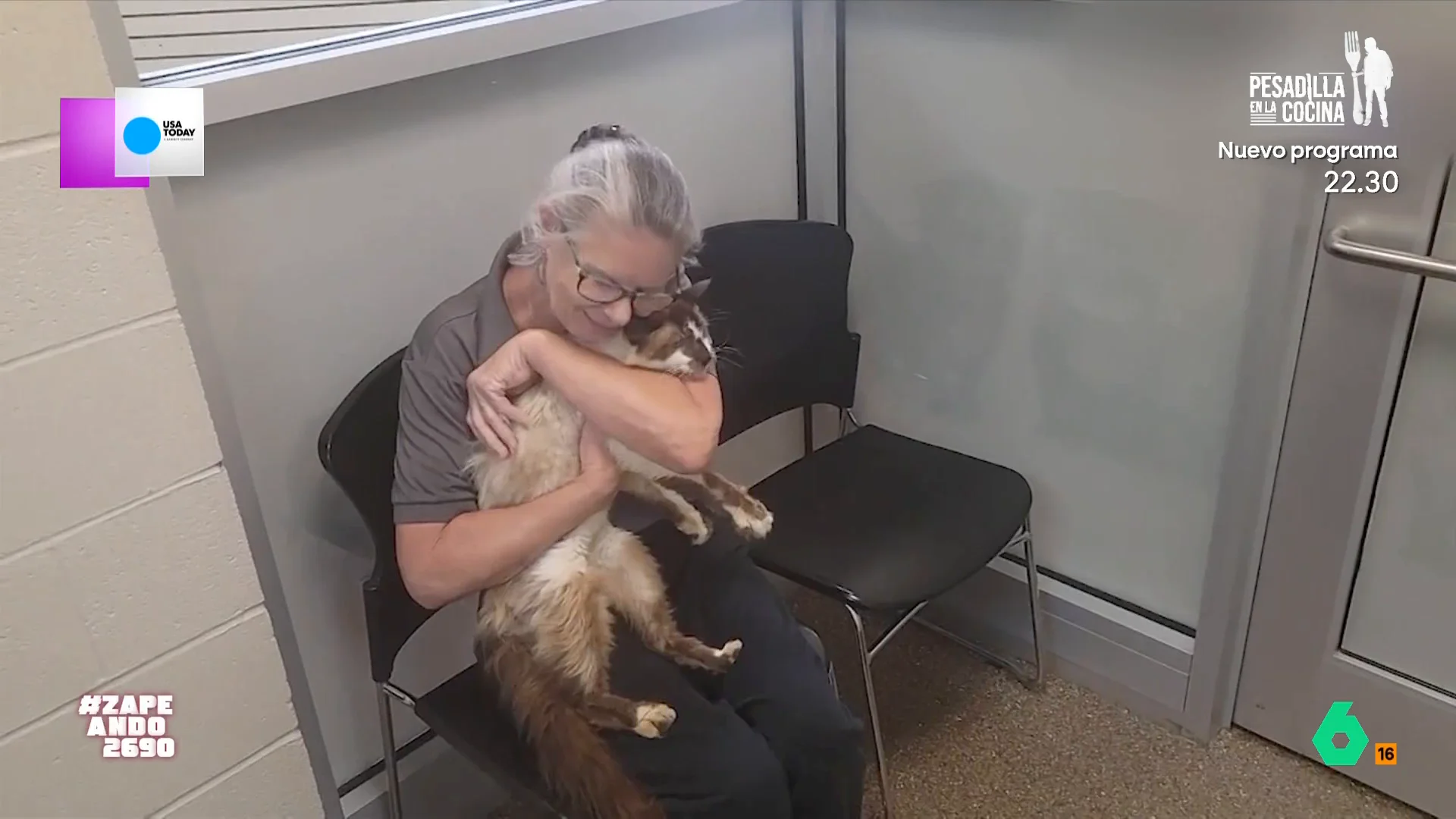 Una asociación de animales recogió al animal mientras deambulaba por la calle y gracias a que este llevaba chip pudieron reunirlo con su dueña. 