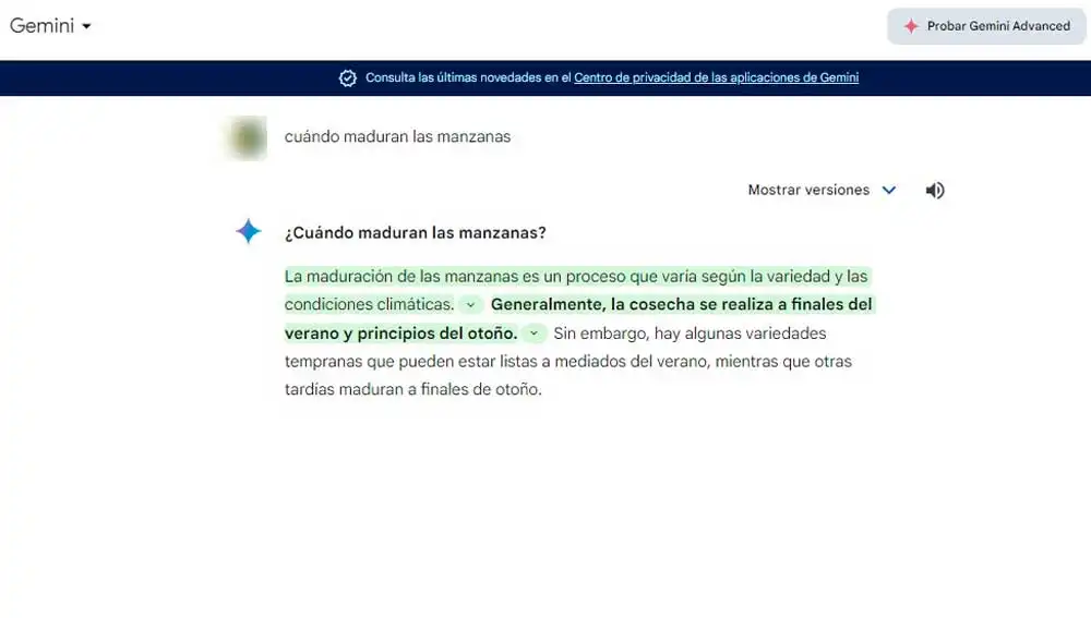 Chateando con Gemini Chateando con Gemini