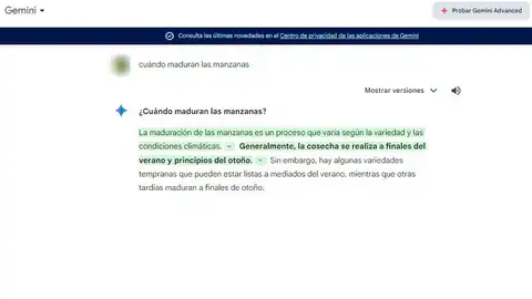 Chateando con Gemini Chateando con Gemini
