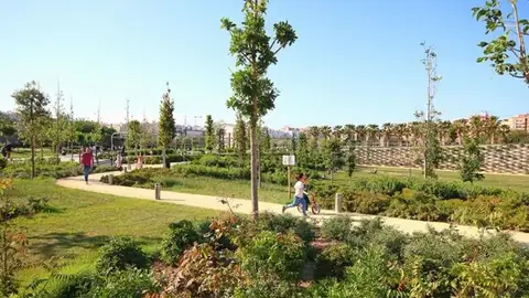 Parque Central Parque Central