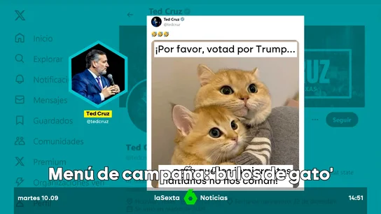 "Comen gatos para sobrevivir": el bulo republicano que dice que los migrantes haitianos se comen las mascotas "Comen gatos para sobrevivir": el bulo republicano que dice que los migrantes haitianos se comen las mascotas