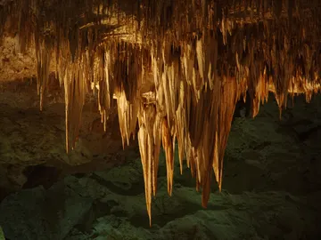 Cavernas de Carlsbad en Estados Unidos Cavernas de Carlsbad en Estados Unidos