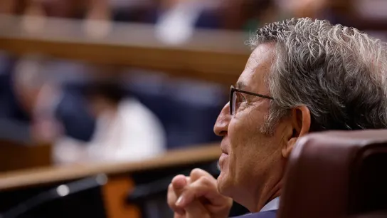 El líder del PP, Alberto Núñez Feijóo, durante la sesión de control al gobierno celebrada este miércoles en el Congreso. El líder del PP, Alberto Núñez Feijóo, durante la sesión de control al gobierno celebrada este miércoles en el Congreso.