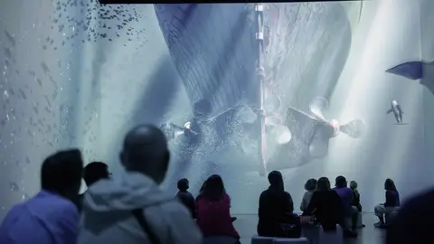 La leyenda del Titanic, una exposición inmersiva sobre el hundimiento del mítico buque La leyenda del Titanic, una exposición inmersiva sobre el hundimiento del mítico buque