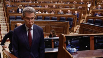 El líder del PP, Alberto Núñez Feijóo, durante la sesión de control al gobierno celebrada este miércoles en el Congreso. 