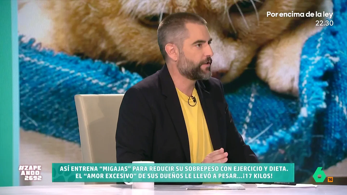 Dani Mateo confiesa el 'problema' que tiene con su gata cuando le dice que no: "Me zurra, no pone cara de pena" El presentador tiene una gata llamada Dakota que es muy exigente. La minina no duda en reclamar su comida favorita y actuar en consecuencia si su dueño no se la da.