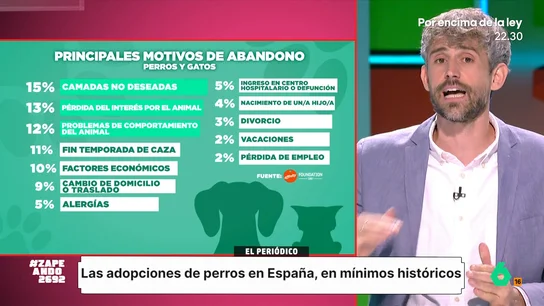 Víctor Algra expone qué hay que tener en cuenta antes de adoptar a una mascota: "No todos los animales son para todo el mundo" Como apunta el veterinario, es necesario que la decisión de adoptar a una mascota se tome de una manera reflexiva y teniendo en cuenta las necesidades del animal.