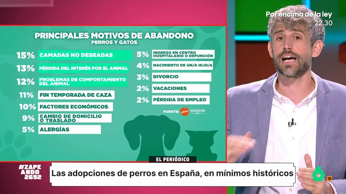 Víctor Algra expone qué hay que tener en cuenta antes de adoptar a una mascota: "No todos los animales son para todo el mundo" Como apunta el veterinario, es necesario que la decisión de adoptar a una mascota se tome de una manera reflexiva y teniendo en cuenta las necesidades del animal.