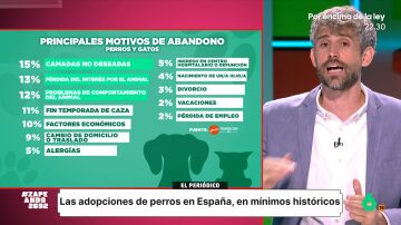 Víctor Algra expone qué hay que tener en cuenta antes de adoptar a una mascota: "No todos los animales son para todo el mundo"