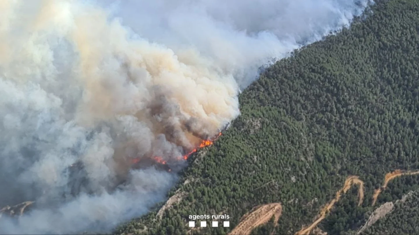 Los incendios de Tarragona ponen en peligro el parque natural de Montsant y obligan a confinar la localidad de Porrera Imágenes del incendio de Cabacés (Tarragona)
