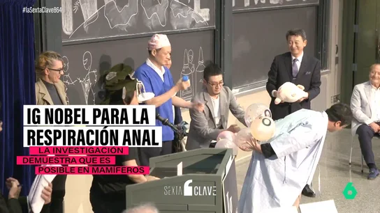 Los mamíferos pueden respirar por el ano y otras investigaciones surrealistas que ganaron los premios IG Nobel Los mamíferos pueden respirar por el ano y otras investigaciones surrealistas que ganaron los premios IG Nobel