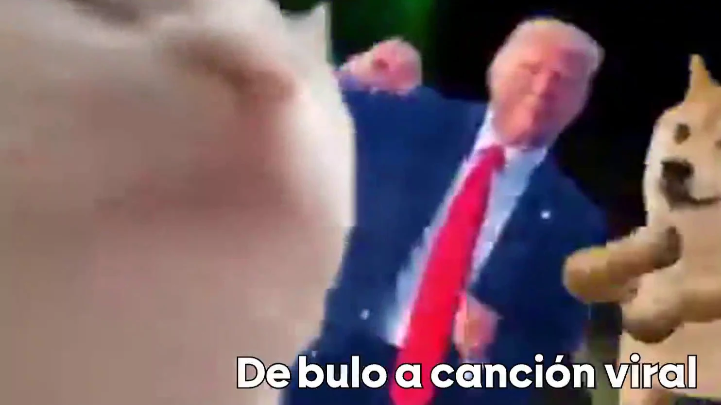 Donald Trump, 'bailando' con un perro y un gato