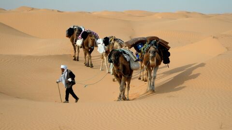 El Sahara en Túnez