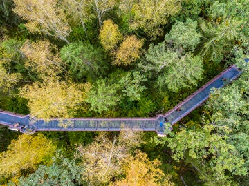 Anykščiai Treetop Walking Path