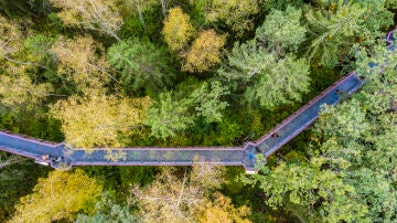 Anykščiai Treetop Walking Path