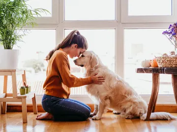 Sincronización entre perro y humano Sincronización entre perro y humano