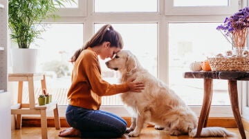 Sincronización entre perro y humano 