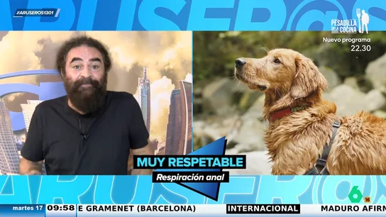 El Sevilla reacciona al estudio ganador de un IG Nobel que dice que los mamíferos podemos respirar por el ano El Sevilla reacciona al estudio ganador de un IG Nobel que dice que los mamíferos podemos respirar por el ano