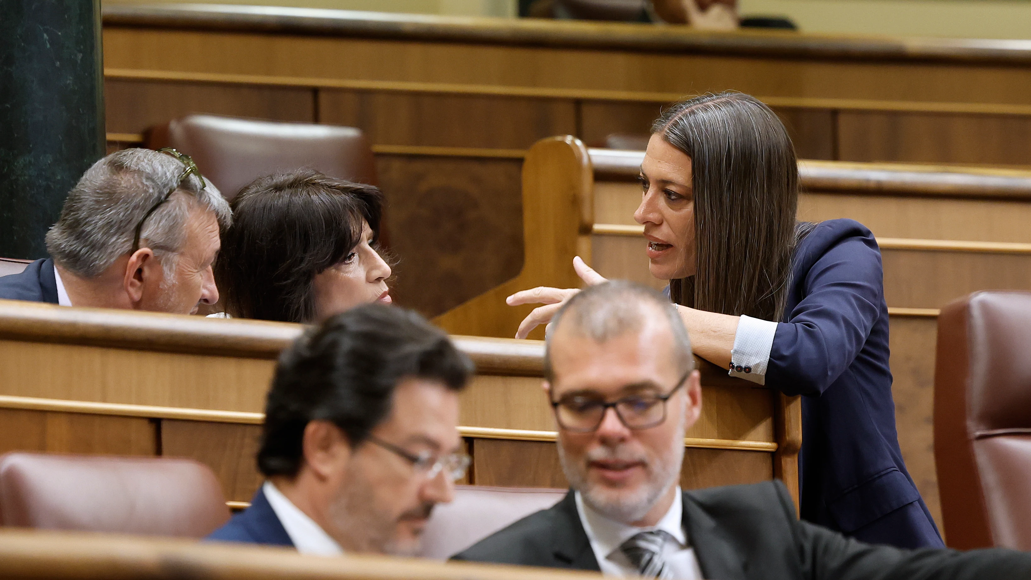 Miriam Nogueras dialoga durante una sesión en el Congreso de los Diputados