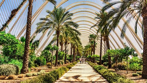 Jardín del Turia