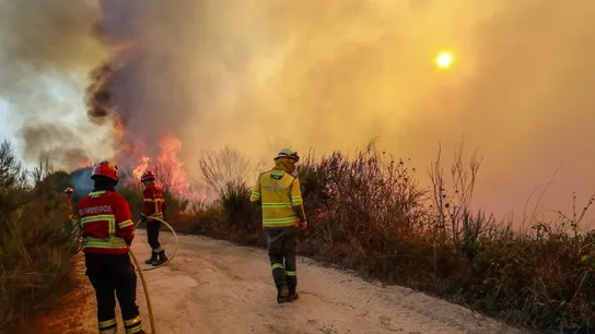 Bomberos combaten un incendio en el polígono industrial de Nelas, junto a la línea ferroviaria del norte de Portugal Bomberos combaten un incendio en el polígono industrial de Nelas, junto a la línea ferroviaria del norte de Portugal